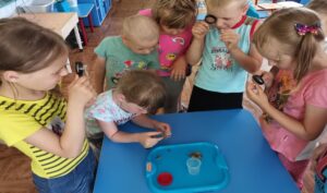 проект Паутинка