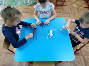 проект Паутинка